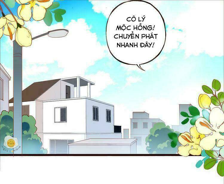 Nở Rộ Trên Bụi Gai Chapter 4 - Trang 2