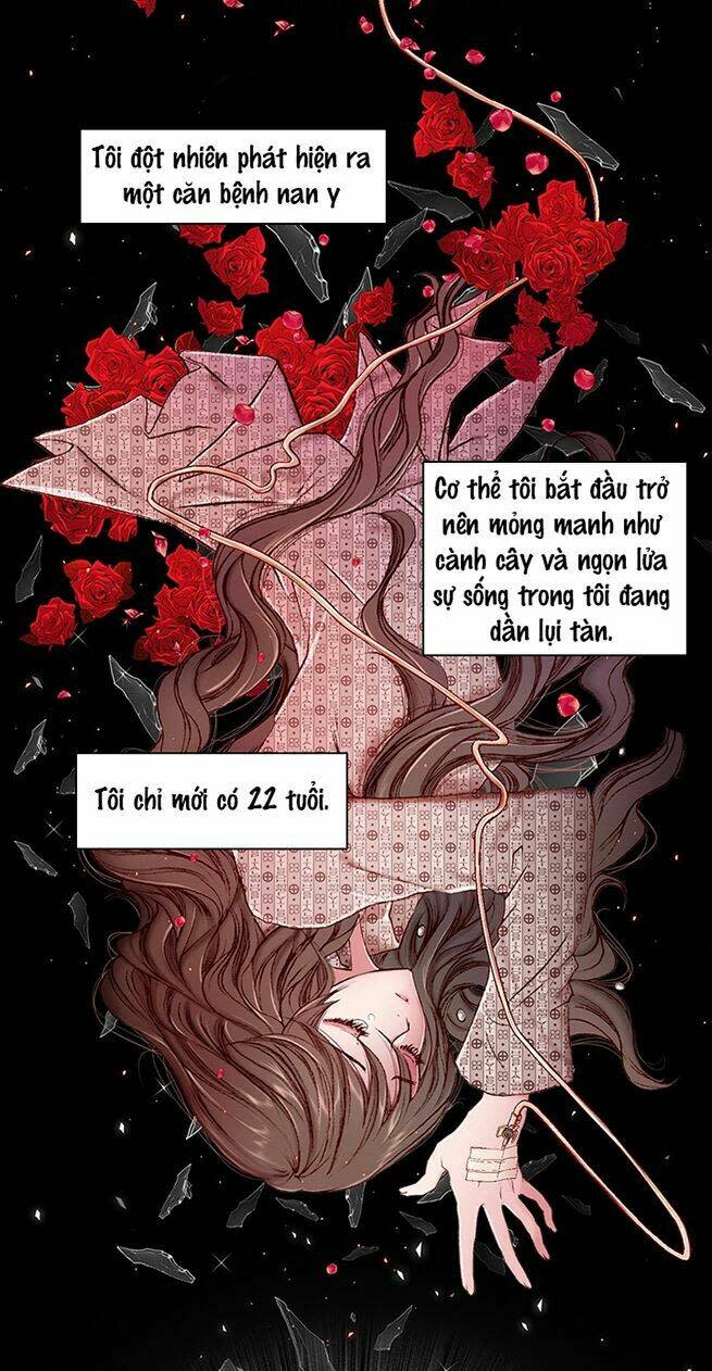 trở thành tiểu thư xấu xí chapter 1 - Next chapter 2