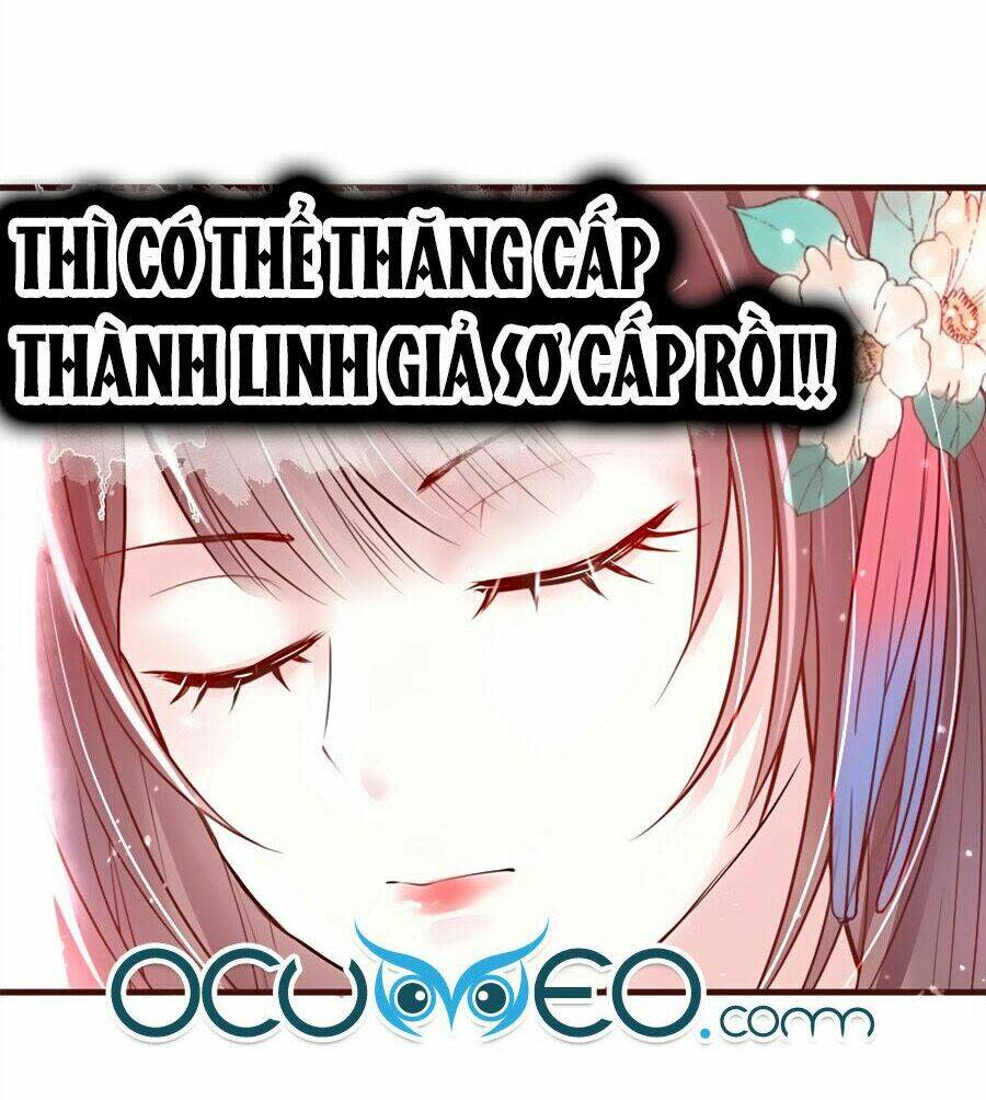 liệt hỏa cuồng phi: vương gia thú tính muốn sủng chương 11 - Trang 2