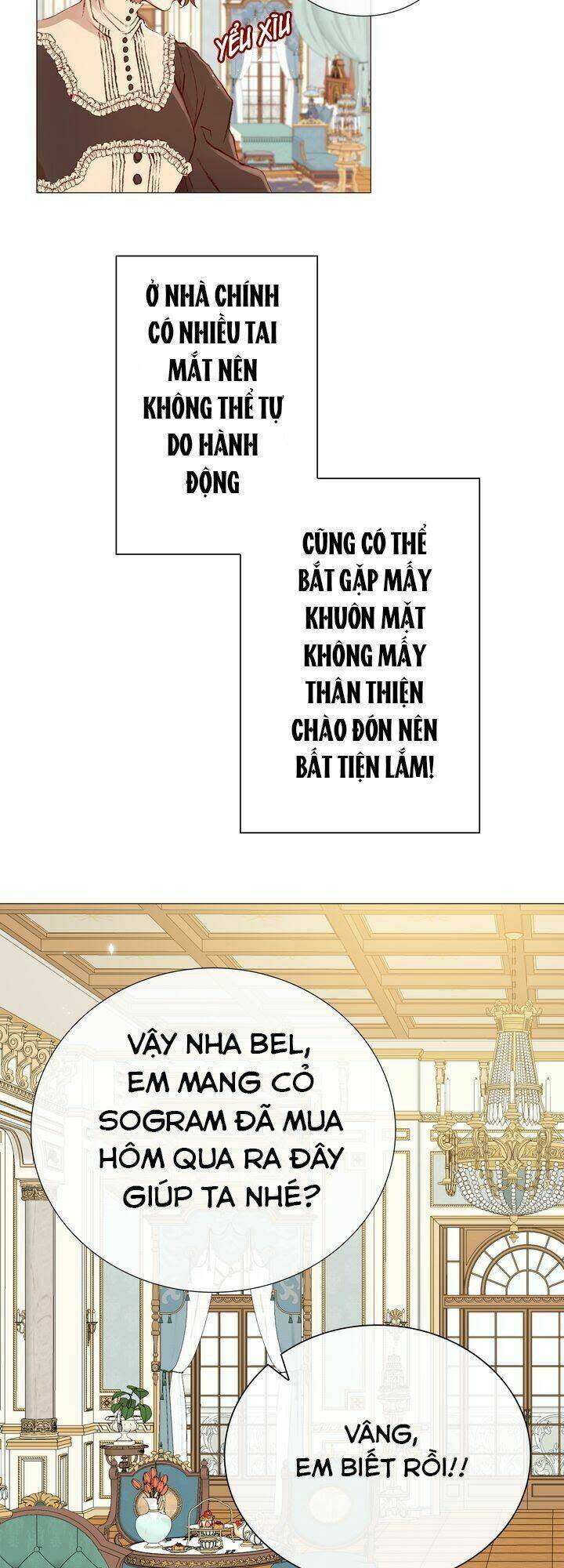 trở thành tiểu thư xấu xí chapter 12 - Next chapter 13