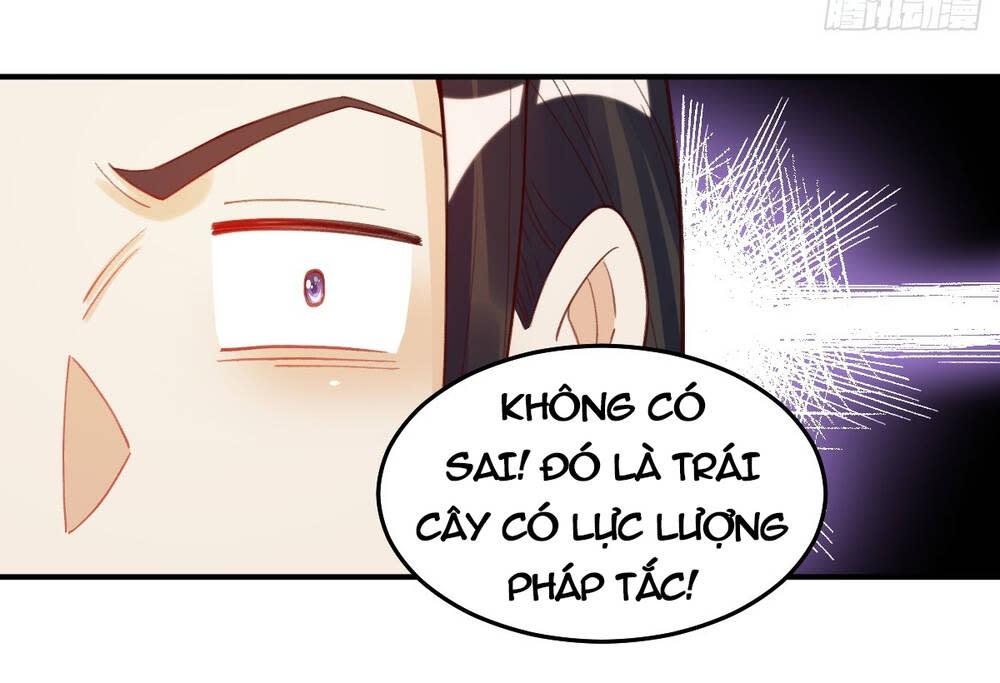 nguyên lai ta là tu tiên đại lão chapter 205 - Next Chapter 205