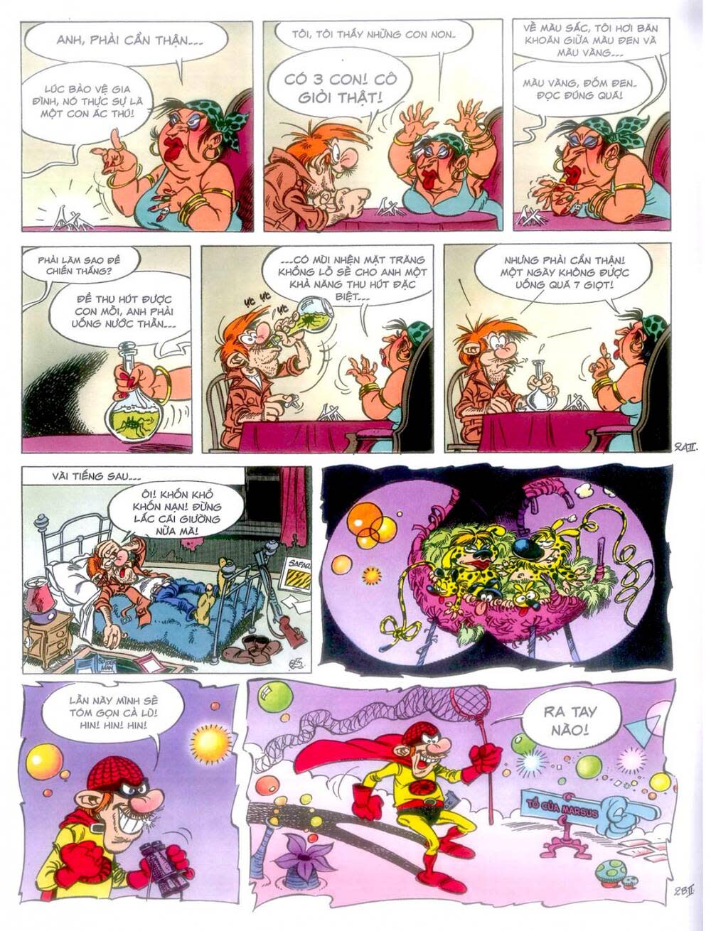 marsupilami chapter 10: - cuộc ẩu đả ở palombia - Next 