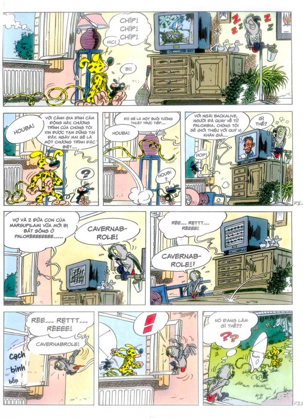 marsupilami chapter 10: - cuộc ẩu đả ở palombia - Next 