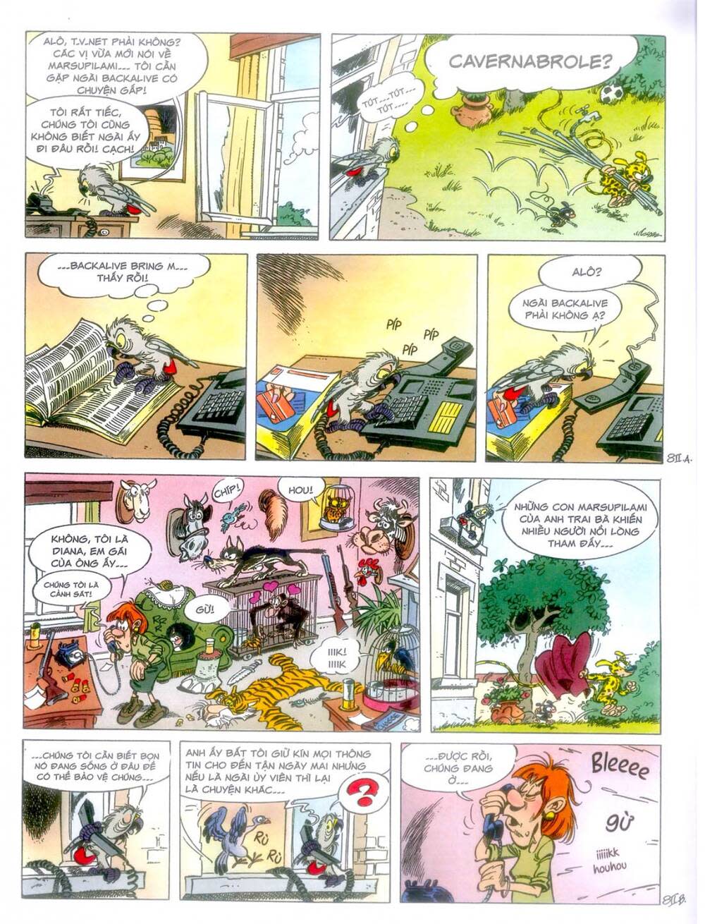 marsupilami chapter 10: - cuộc ẩu đả ở palombia - Next 