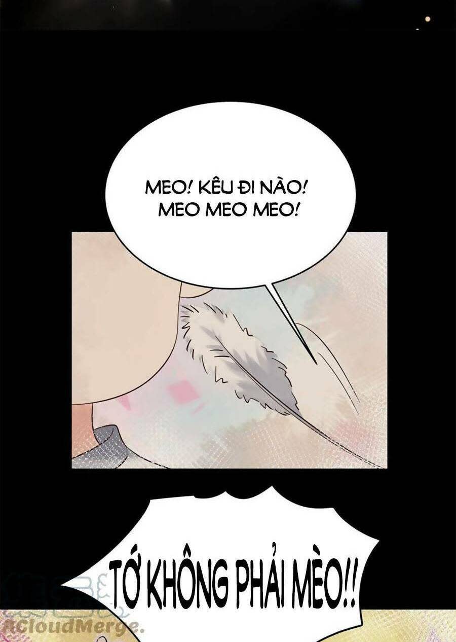 hotboy quốc dân là nữ chapter 318 - Trang 2