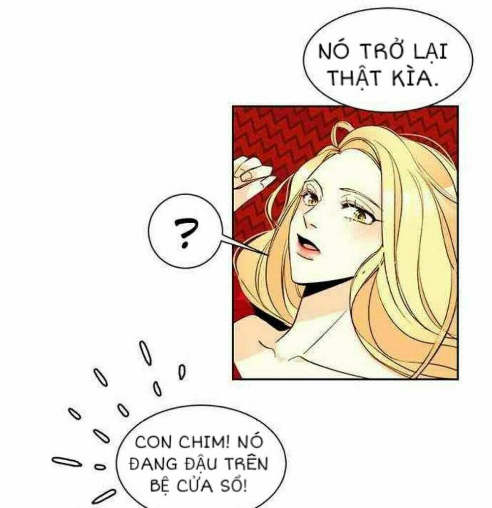 hoàng hậu muốn tái hôn chapter 7 - Trang 2