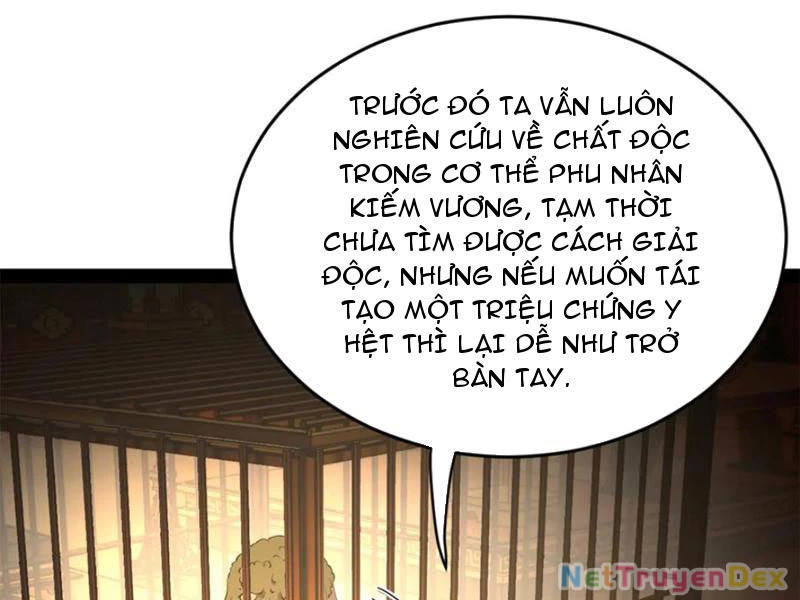 chàng rể mạnh nhất lịch sử Chapter 260 - Trang 2