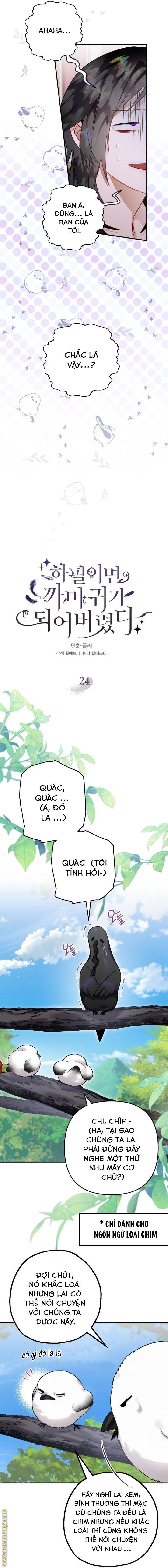 tôi bỗng trở thành quạ đen Chap 24 - Next Chap 25