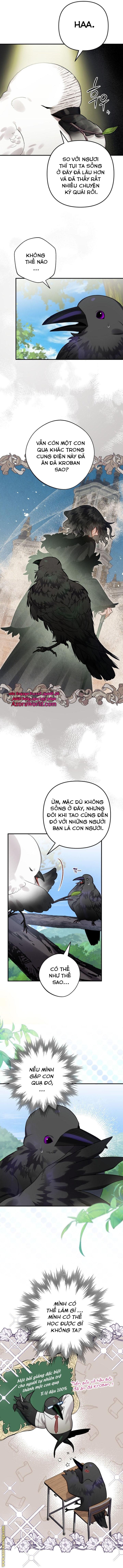 tôi bỗng trở thành quạ đen Chap 24 - Next Chap 25