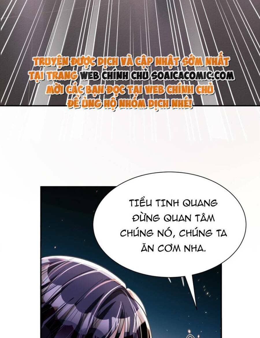 tổng tài huyết tộc cực sủng cô vợ mỹ nhân ngư chapter 97 - Next chapter 98