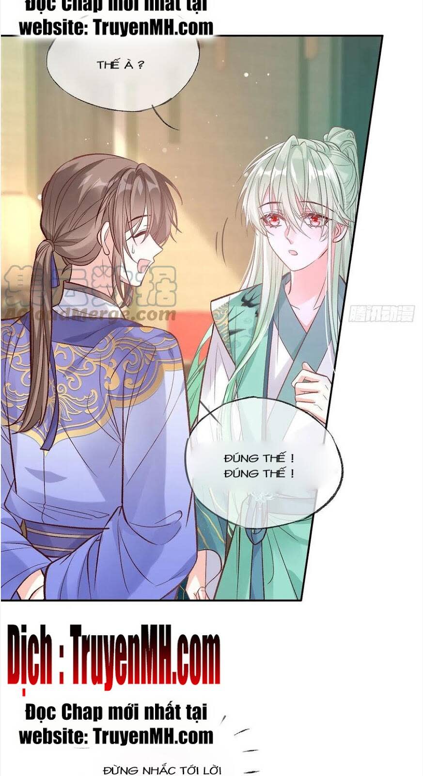 kiều mỵ phu lang, tại tuyến lục trà chapter 96 - Next chapter 97