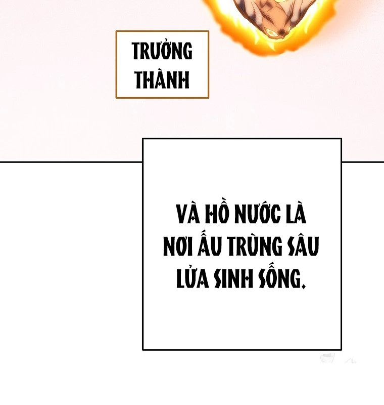 tái thiết hầm ngục Chapter 224 - Next Chapter 224