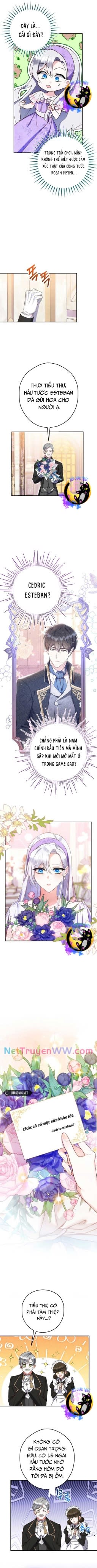 Công Nương Sinh Ra Để Sống Một Mình Chapter 5 - Next 