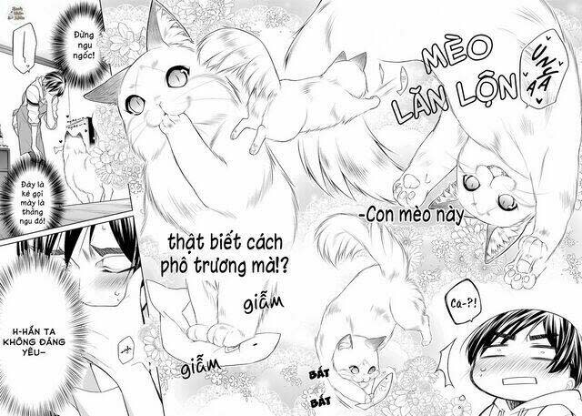 Tôi Là Con Sen Của Hoàng Thượng Chapter 1 - Next 