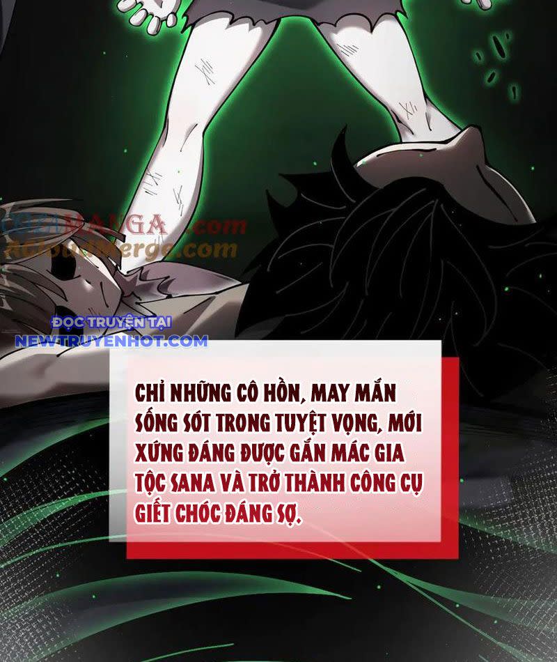 Cái Bóng Phản Bội Của Gia Tộc Chapter 39 - Next Chapter 39