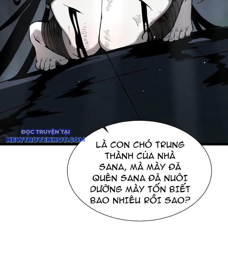 Cái Bóng Phản Bội Của Gia Tộc Chapter 39 - Next Chapter 39