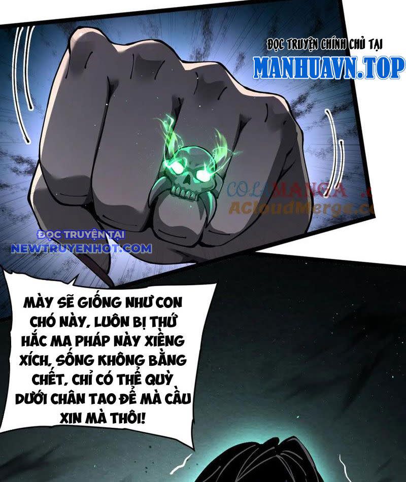 Cái Bóng Phản Bội Của Gia Tộc Chapter 39 - Next Chapter 39