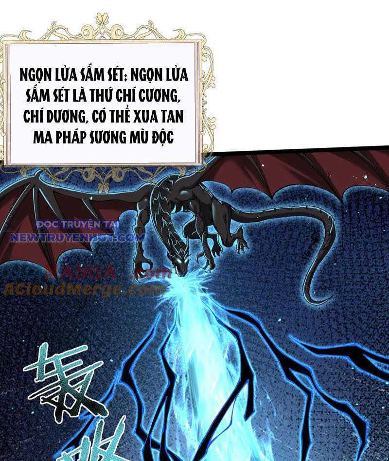 Cái Bóng Phản Bội Của Gia Tộc Chapter 42 - Trang 2