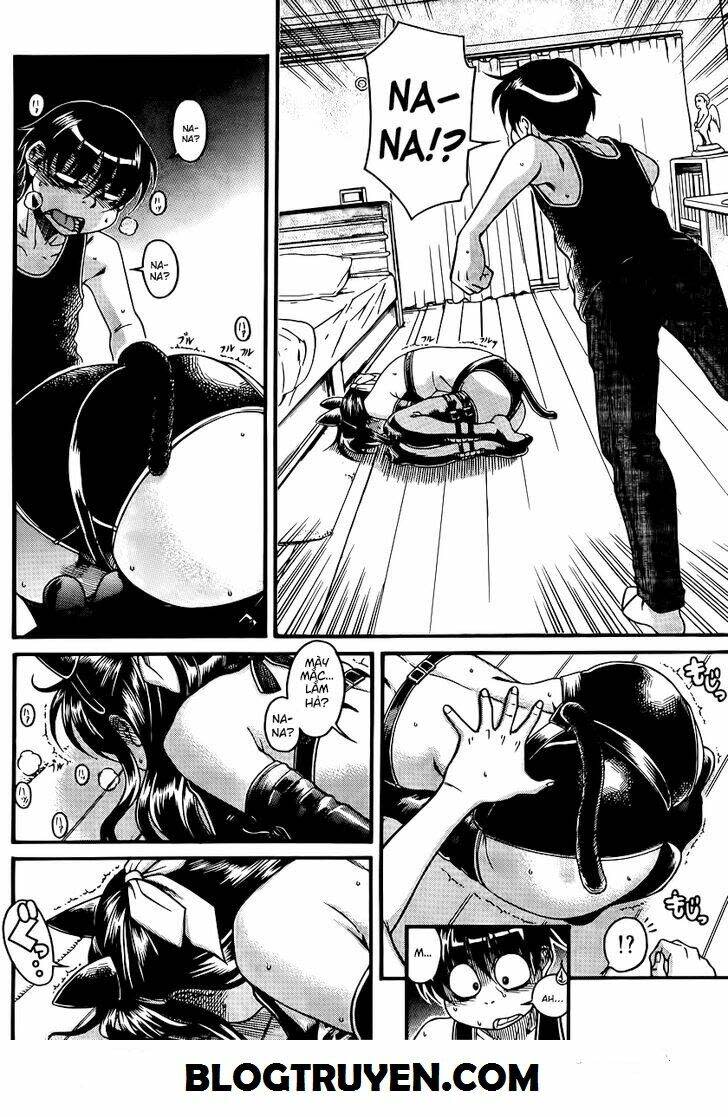 nana to kaoru chapter 74 - Trang 2