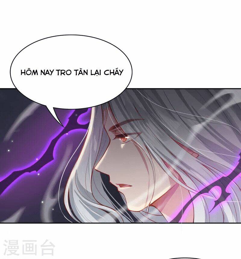 ta vốn là mèo chapter 3 - Trang 2