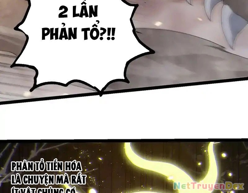 chuyển sinh thành liễu đột biến Chapter 319 - Trang 2