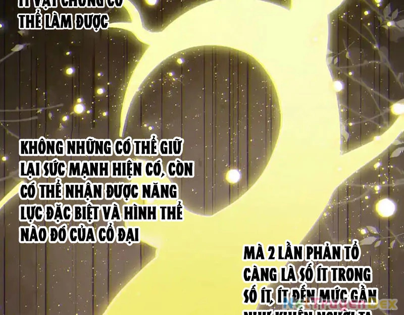 chuyển sinh thành liễu đột biến Chapter 319 - Trang 2