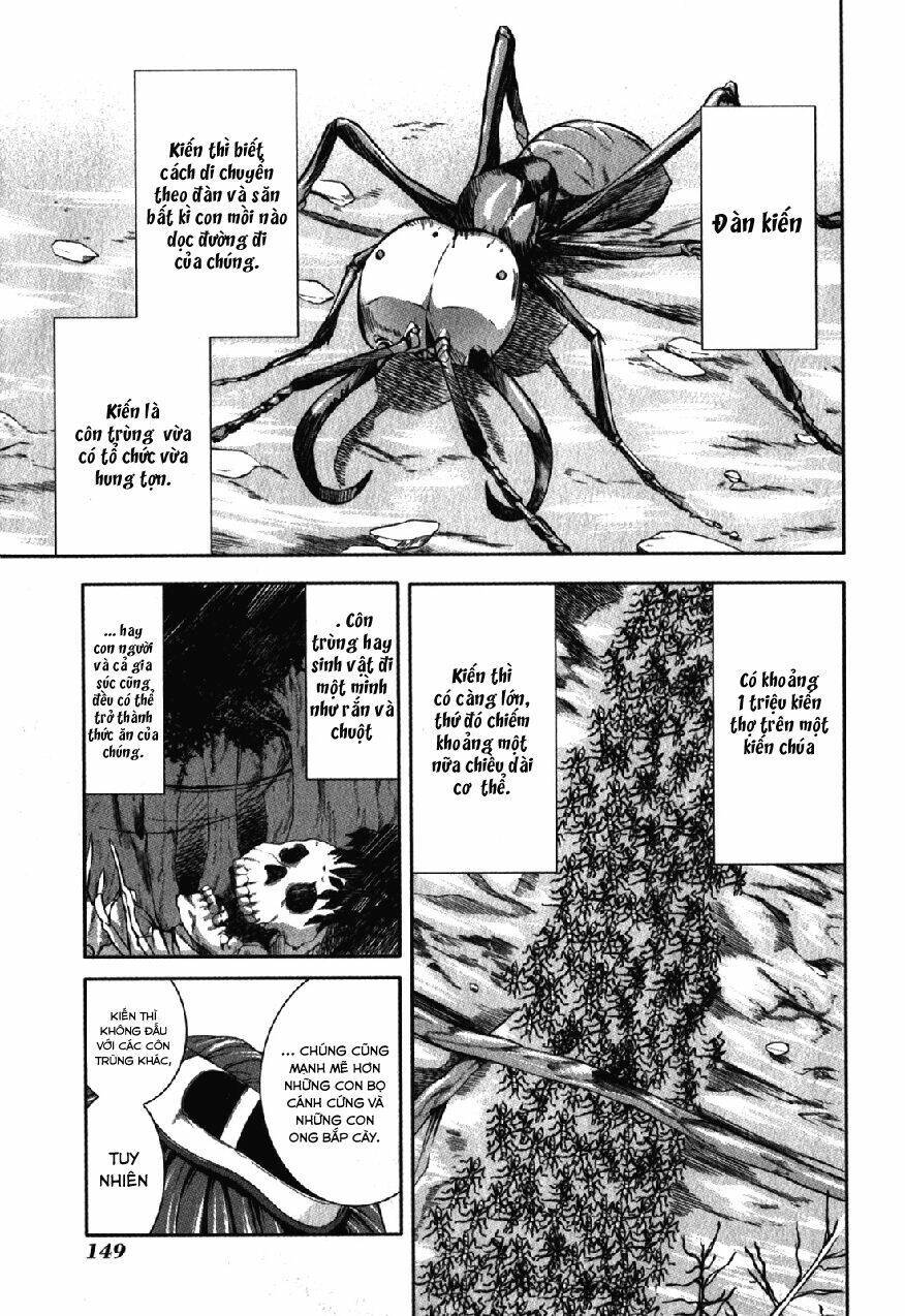 arachnid chapter 30 - Next chapter 31