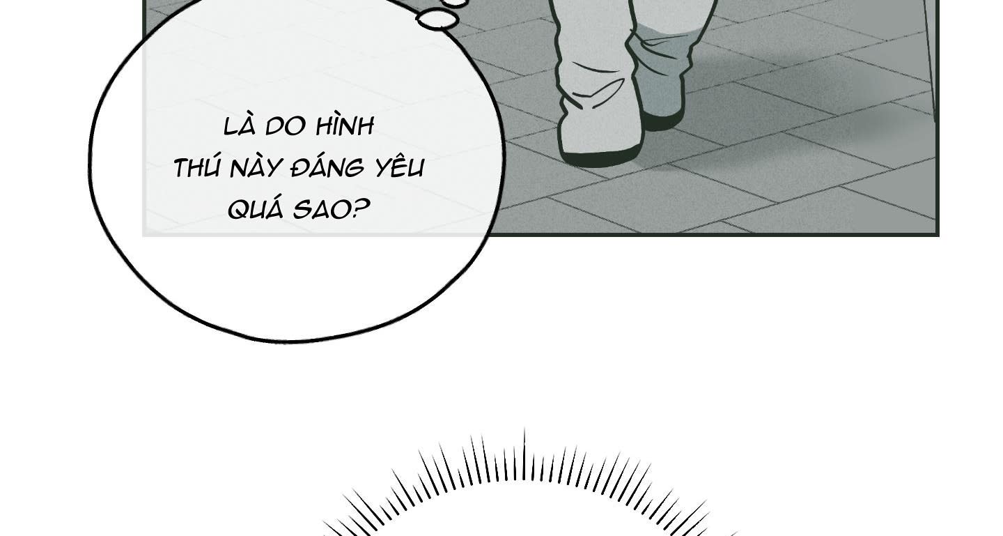 phục thù Chapter 38 - Trang 2