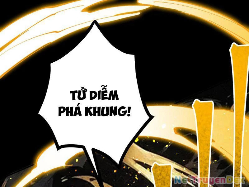 Gặp Mạnh Thì Mạnh, Ta Tu Vi Vô Thượng Hạn Chapter 9 - Trang 2