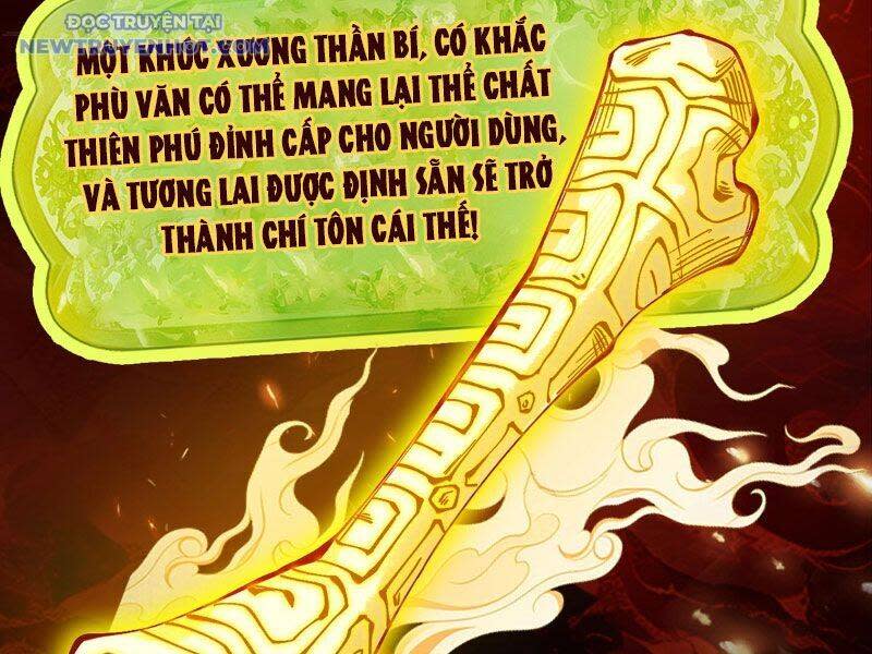 Gặp Mạnh Thì Càng Mạnh, Tu Vi Của Ta Không Giới Hạn Chapter 10 - Trang 2