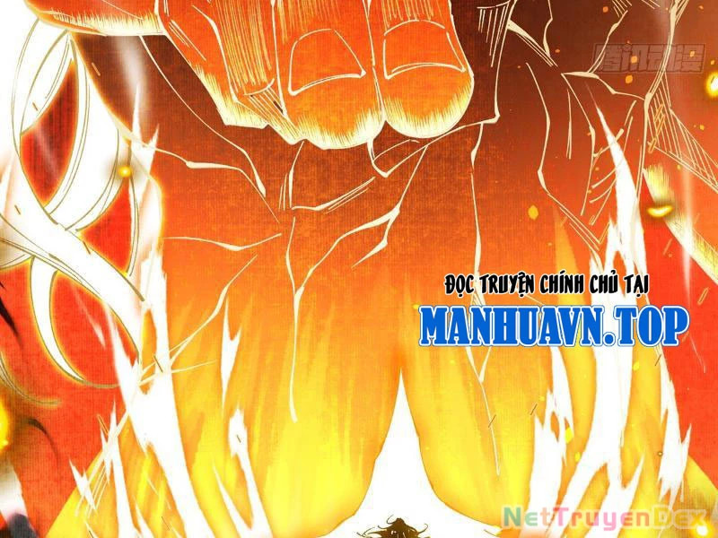 Gặp Mạnh Thì Mạnh, Ta Tu Vi Vô Thượng Hạn Chapter 10 - Trang 2