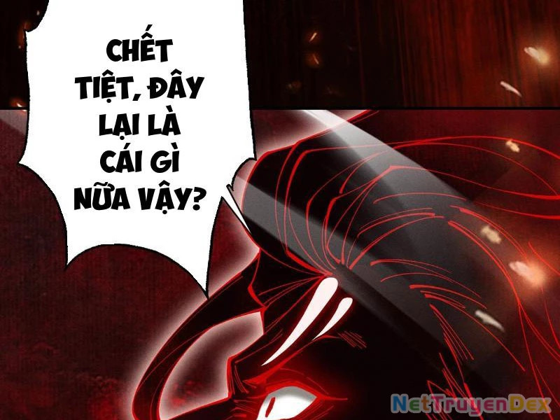 Gặp Mạnh Thì Mạnh, Ta Tu Vi Vô Thượng Hạn Chapter 10 - Trang 2