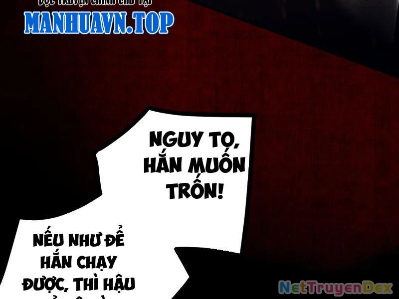 Gặp Mạnh Thì Mạnh, Ta Tu Vi Vô Thượng Hạn Chapter 10 - Trang 2