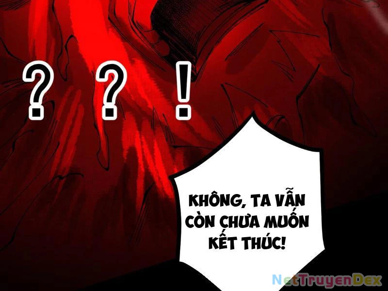 Gặp Mạnh Thì Mạnh, Ta Tu Vi Vô Thượng Hạn Chapter 10 - Trang 2