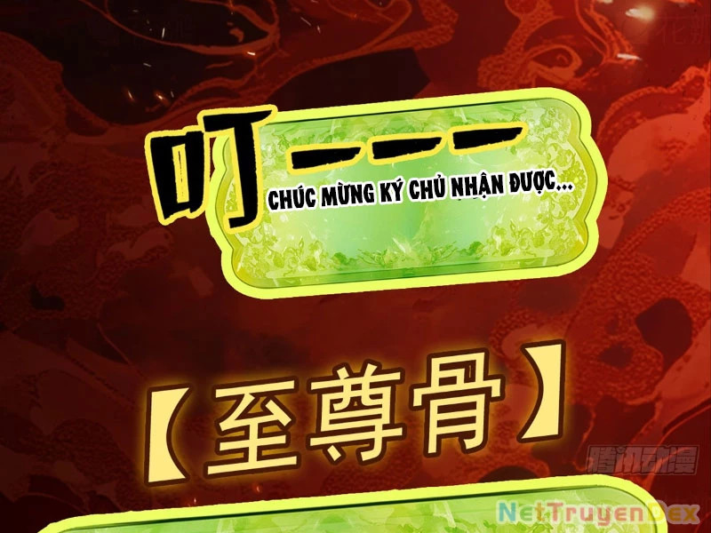 Gặp Mạnh Thì Mạnh, Ta Tu Vi Vô Thượng Hạn Chapter 10 - Trang 2