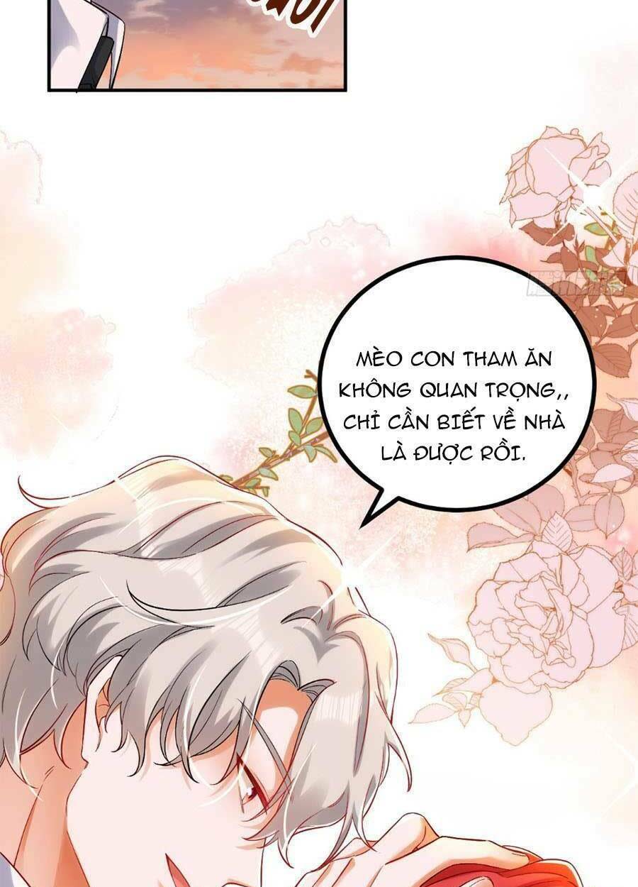 đêm nay ác nữ giáng lâm chapter 31 - Next chapter 32