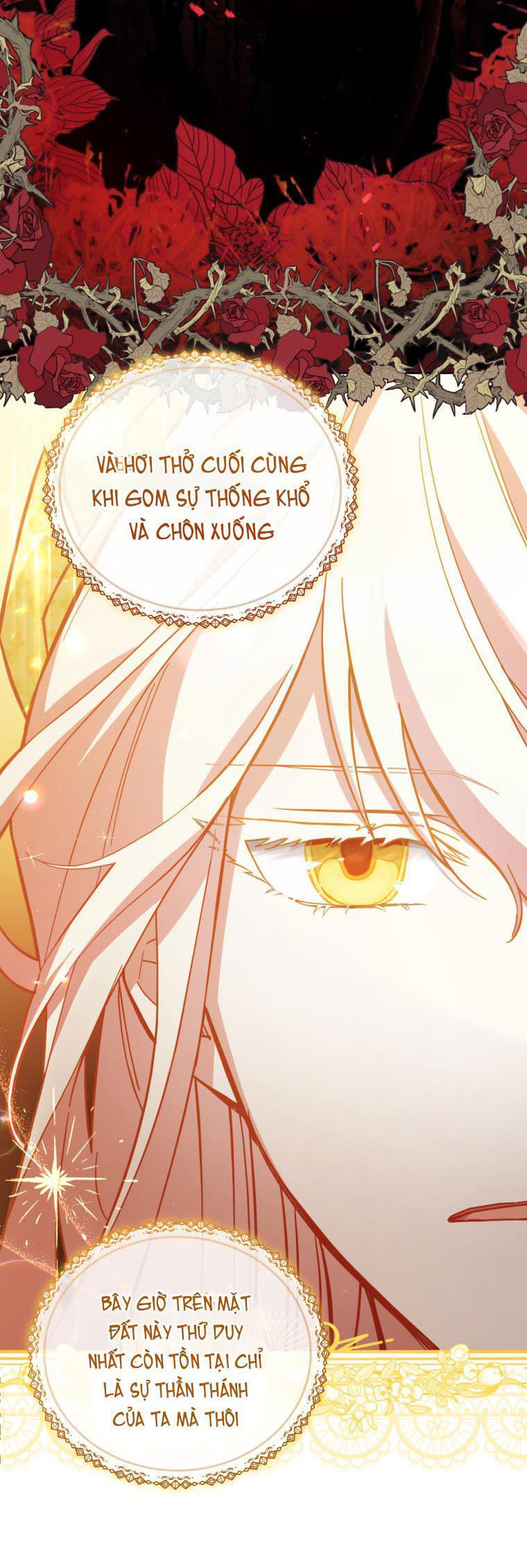 Quý Cô Khó Gần Không Thể Tiếp Cận Chap 49 - Next Chap 51