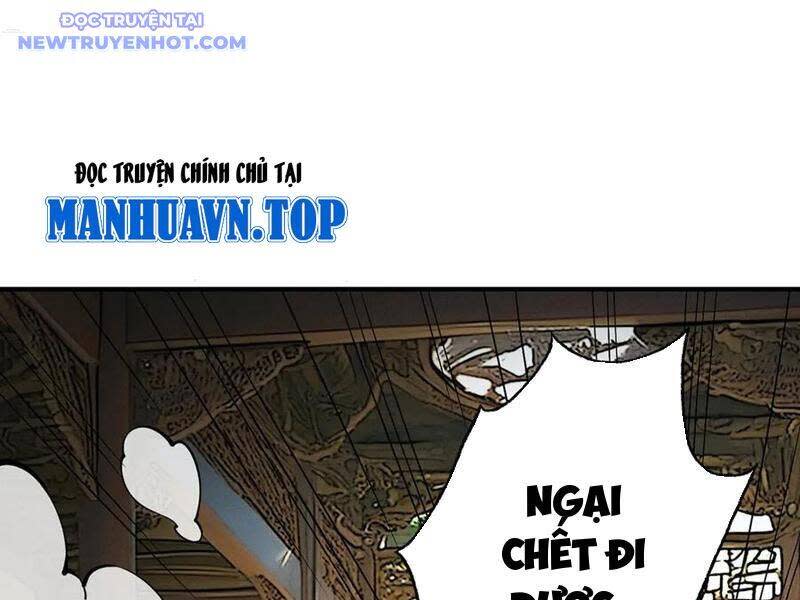 Gặp Mạnh Thì Càng Mạnh, Tu Vi Của Ta Không Giới Hạn Chapter 11 - Trang 2