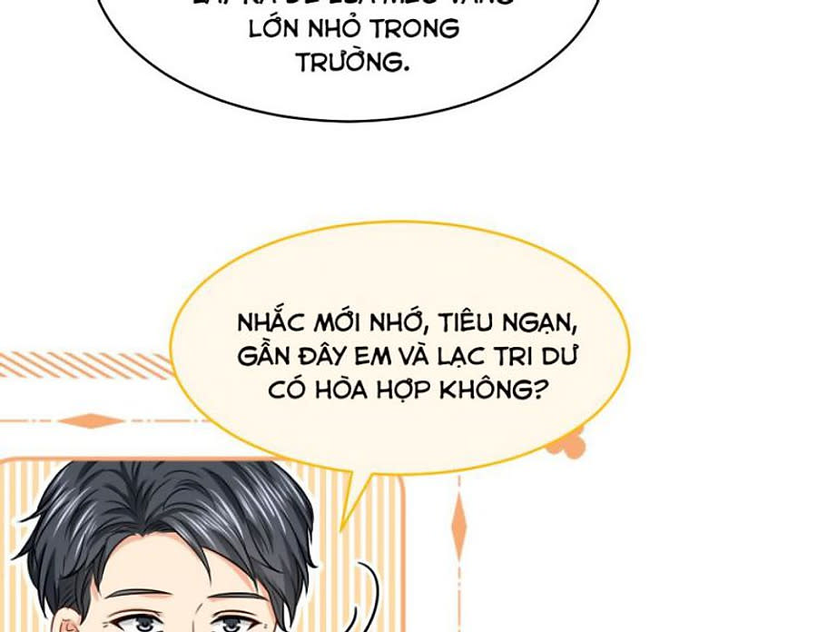 Tin Tức Tố Nói Chúng Ta Không Có Khả Năng Chapter 33 - Next Chapter 34