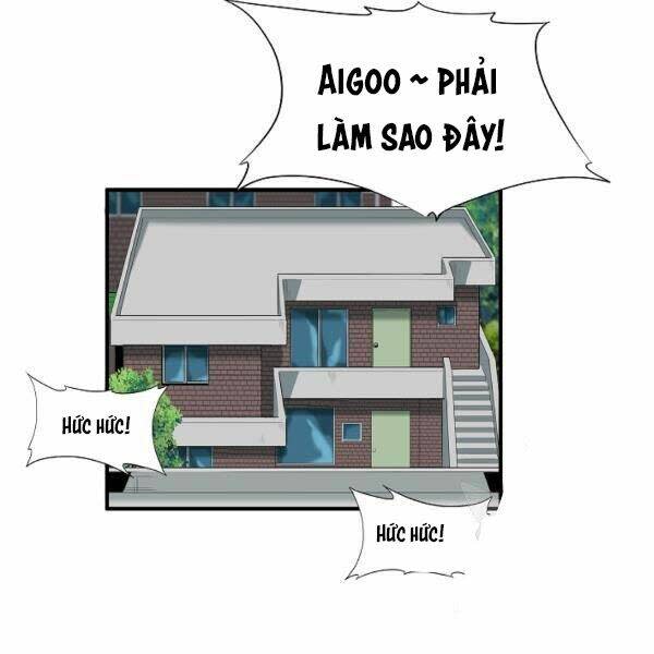 đây là luật chapter 40 - Next chapter 41