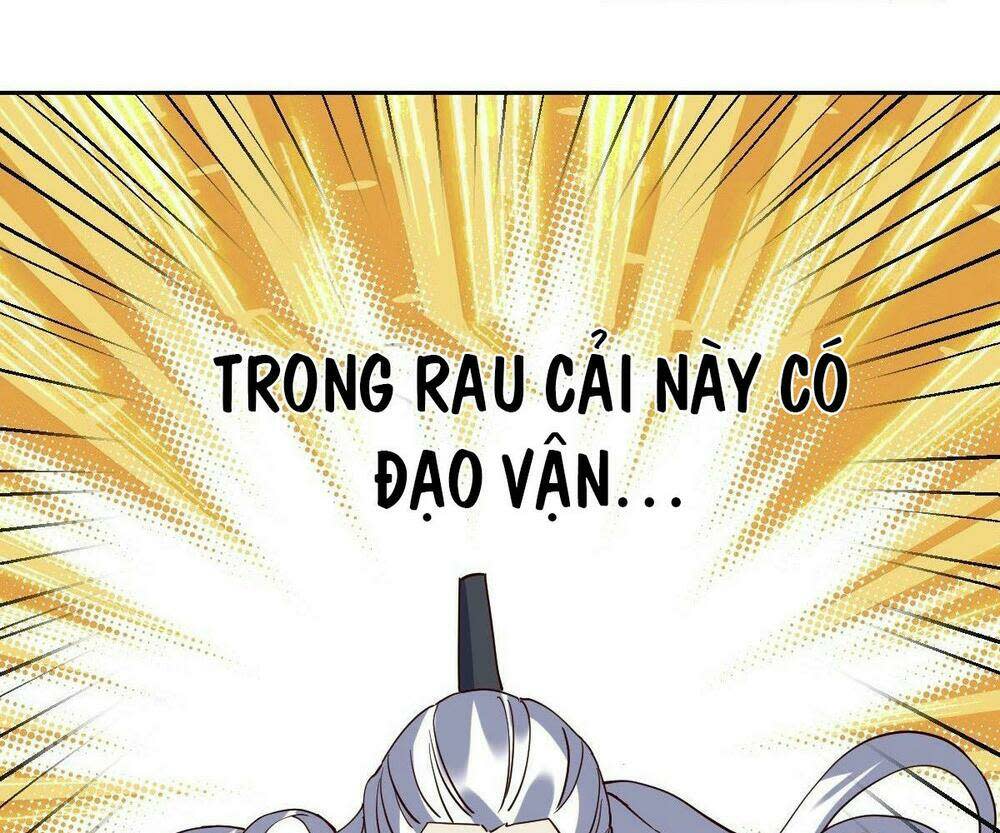 nguyên lai ta là tu tiên đại lão chapter 17 - Next Chapter 17