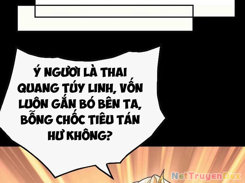 Ta Thực Sự Không Có Hứng Tu Tiên Chapter 37 - Trang 2