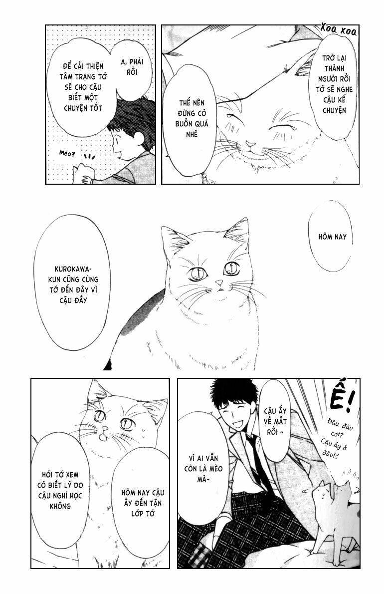 Neko Neko Honey Chapter 4 - Next Chapter 5