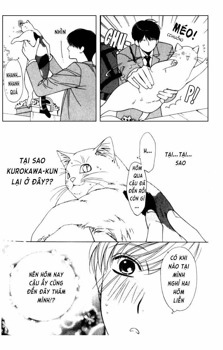 Neko Neko Honey Chapter 4 - Next Chapter 5