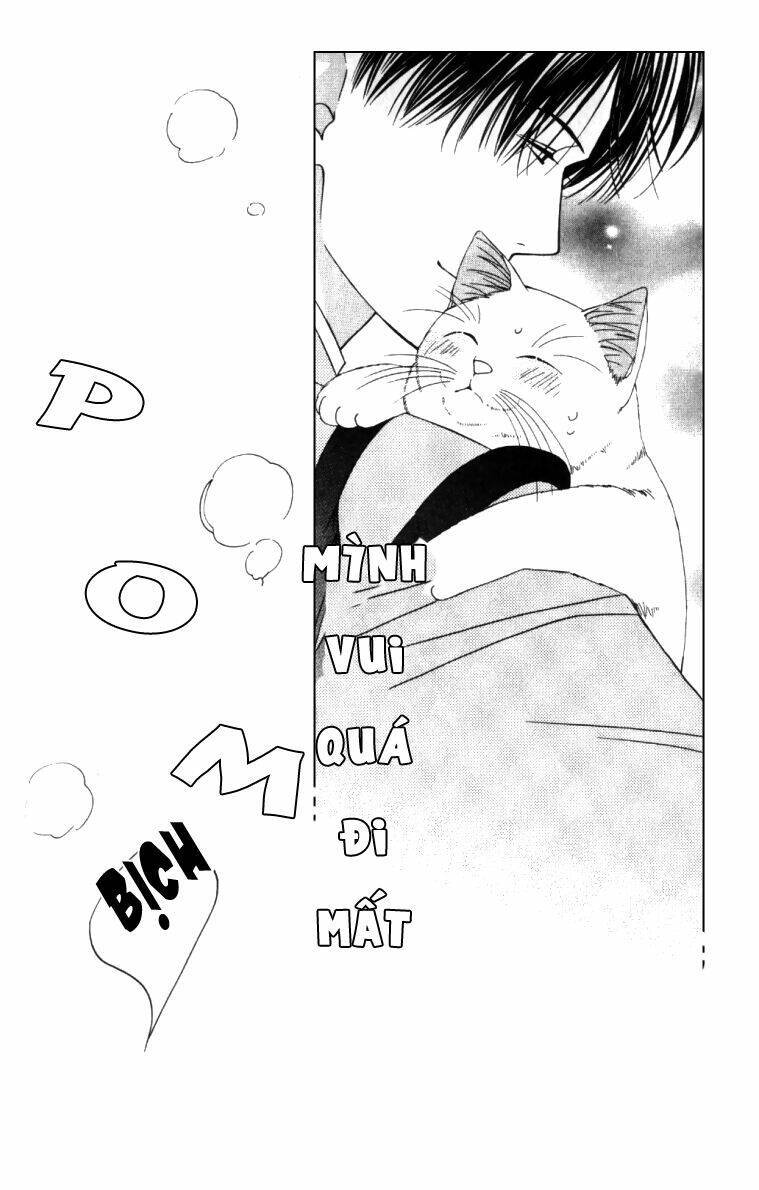 Neko Neko Honey Chapter 4 - Next Chapter 5