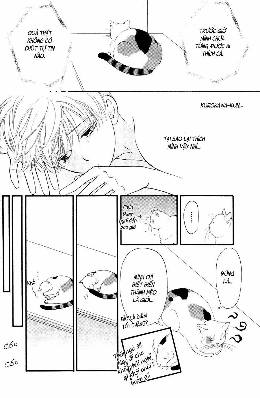 Neko Neko Honey Chapter 10 - Trang 2