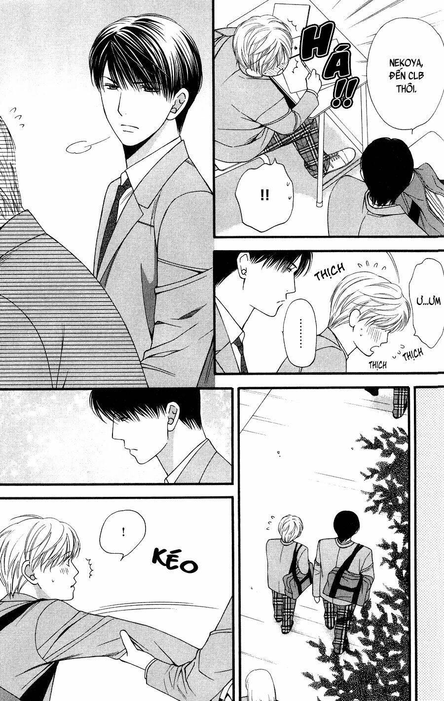 Neko Neko Honey Chapter 10 - Trang 2