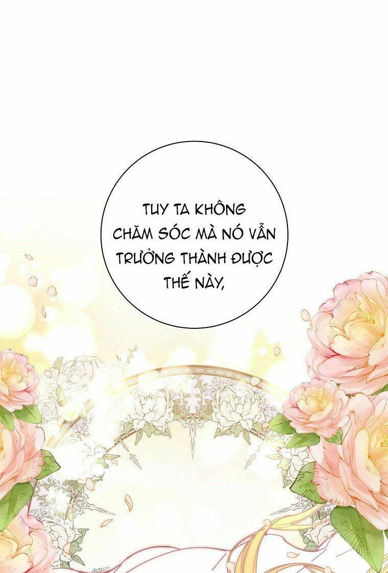 đeo bám tôi cũng vô ích thôi chapter 38 - Next Chapter 38.5