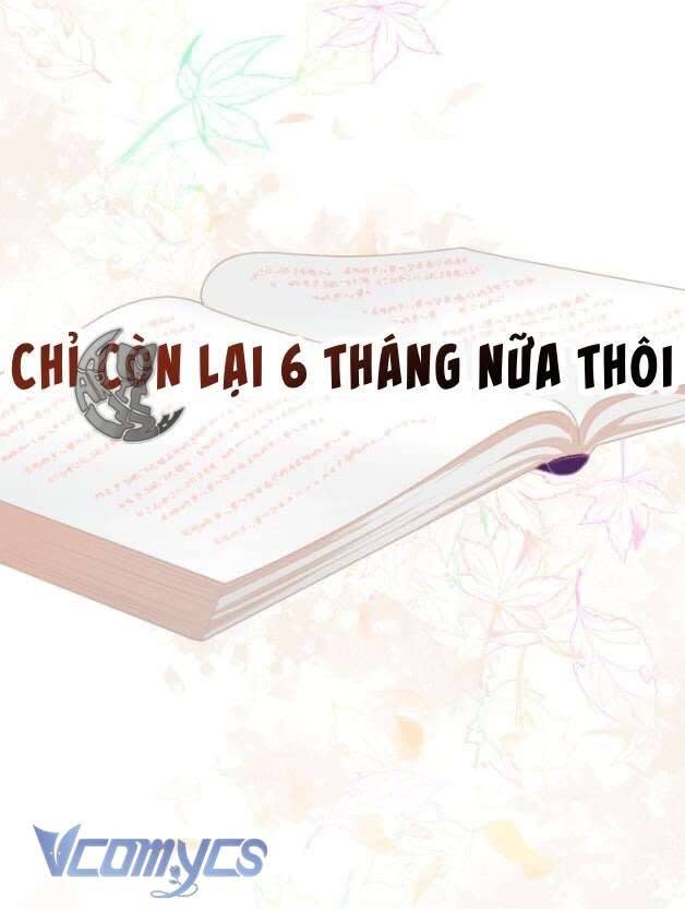 sự điều trị đặc biệt của tinh linh Chapter 50 - Next chapter 51