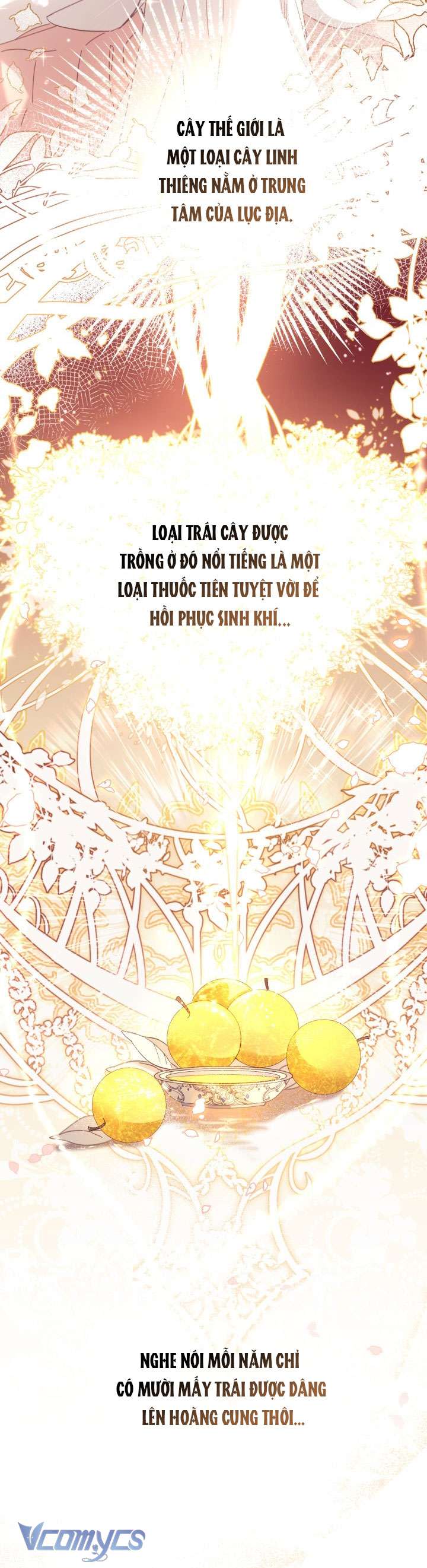 Không Có Chỗ Cho Kẻ Giả Mạo Chap 5 - Next Chap 6